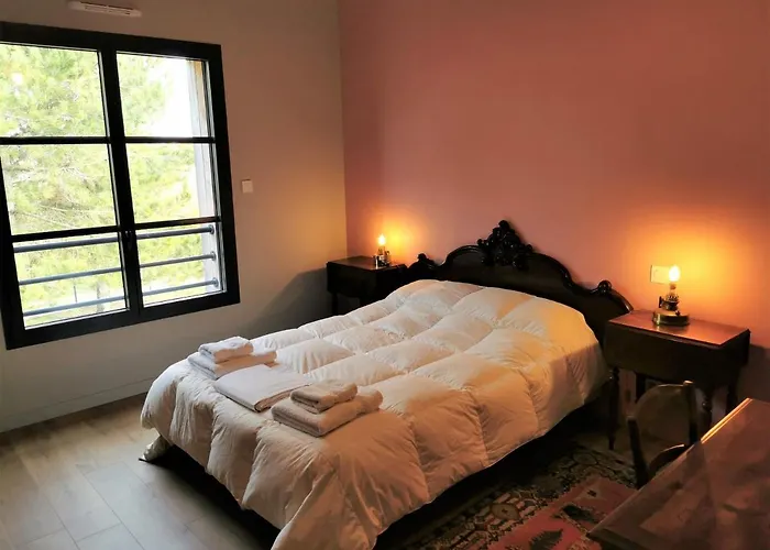 La Coquette Du Marais * 莱萨布勒-多洛讷